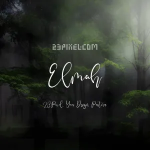 Elmah