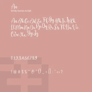 Emily Bonza Script