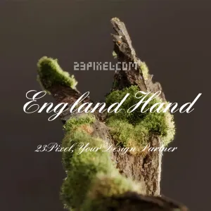 England Hand Db