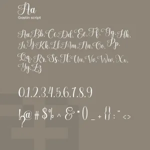 Gastin Script