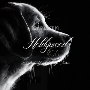 Holdywood