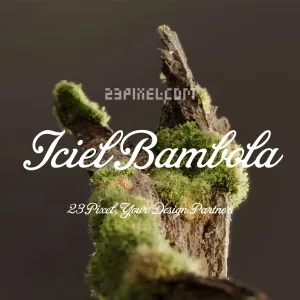 Iciel Bambola
