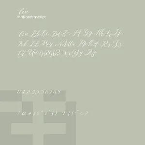 Malliandra Script 