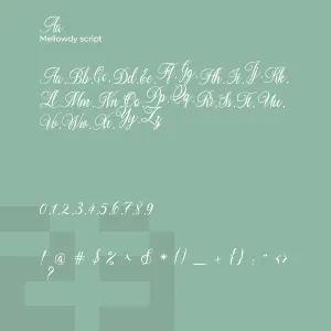 Mellowdy Script