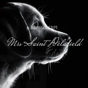 Mrs Saint Delafield