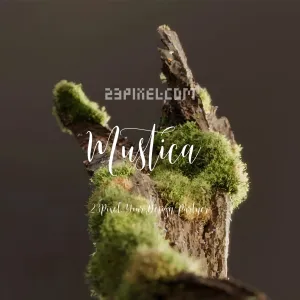 Mustica Script