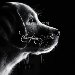 PF Champion Script Pro