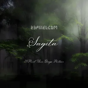 Sagita Script