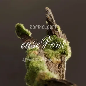 Scriptease