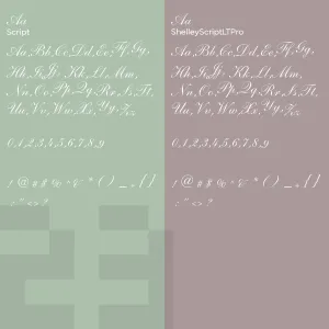 Shelley Script Lt Pro