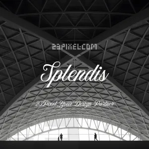 Splendis