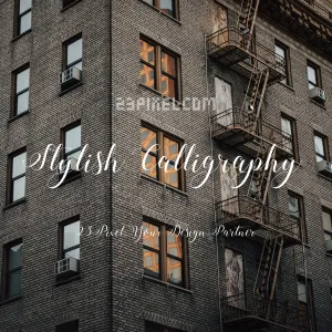 Stylish Calligraphy Demo