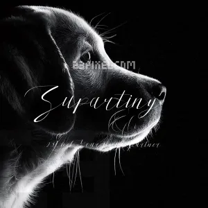 Supartiny
