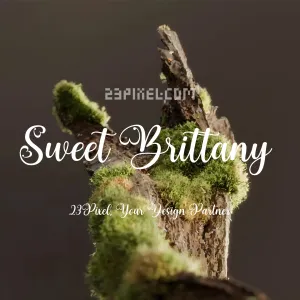 Sweet Brittany Script