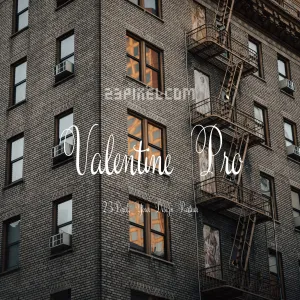 Valentine Pro
