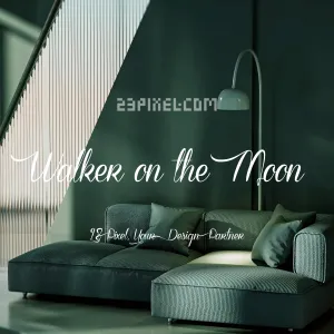 Walker on the Moon
