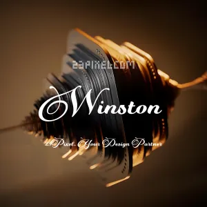 Winston Script