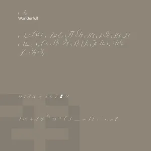 Wonderfull Script