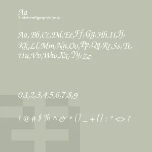 Zurich Calligraphic