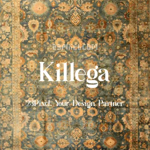 Killega