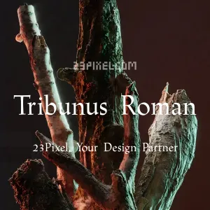 Tribunus Sg Roman