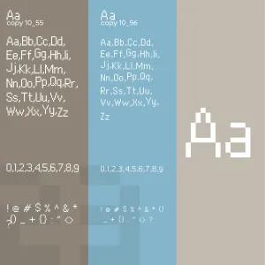 Copy 08