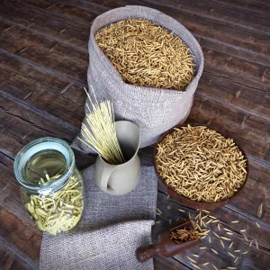 A sack of grain