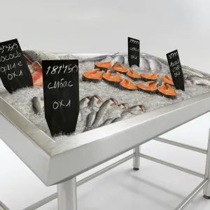 Fish on the ice