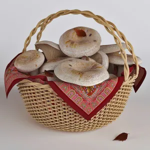 Mushrooms in a basket white mushrooms