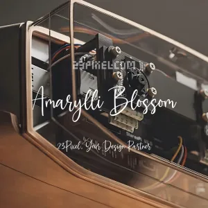 Amarylli Blossom