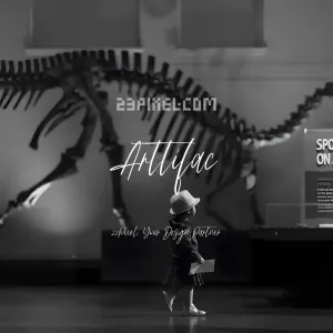 Arttifac