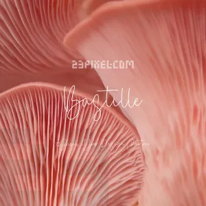 Bastille