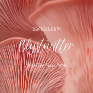 Blystnutter