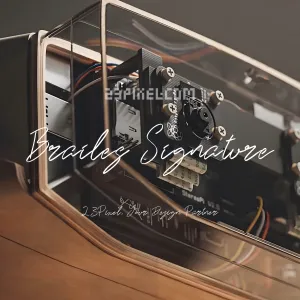 Brailes Signature