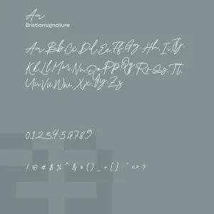 Bristian Signature