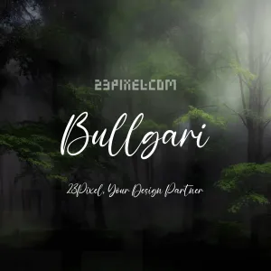 Bullgari Script