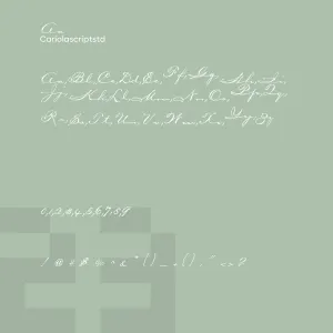 Cariola Script Std