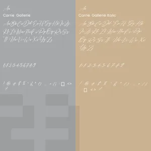 Carrie Gallerie