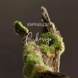 Cherrys