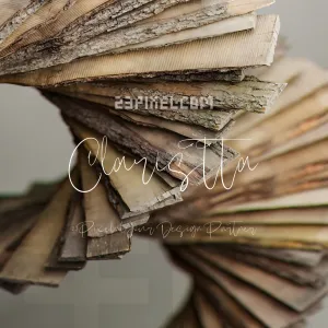 Claristta