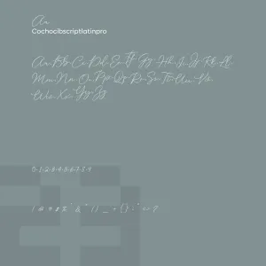 Cochocib Script Latin Pro