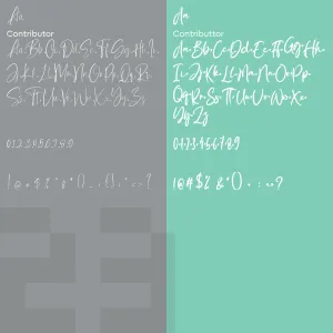 Contributor