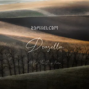 Drusella