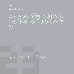Esthentic Demo
