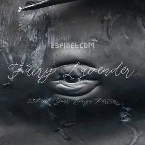Fairy Lavender