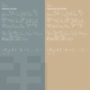 Felicity Script