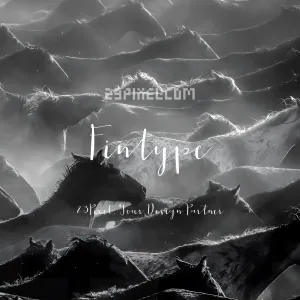 Fintype