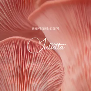 Julietta