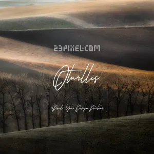 Oturllis