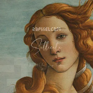Sellicite